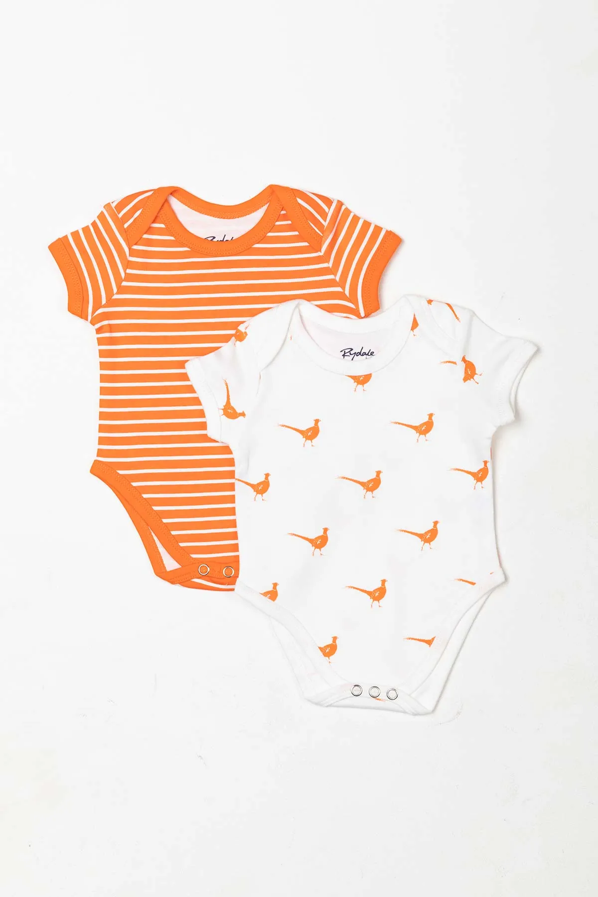 Baby Bodysuits (2 Pack)