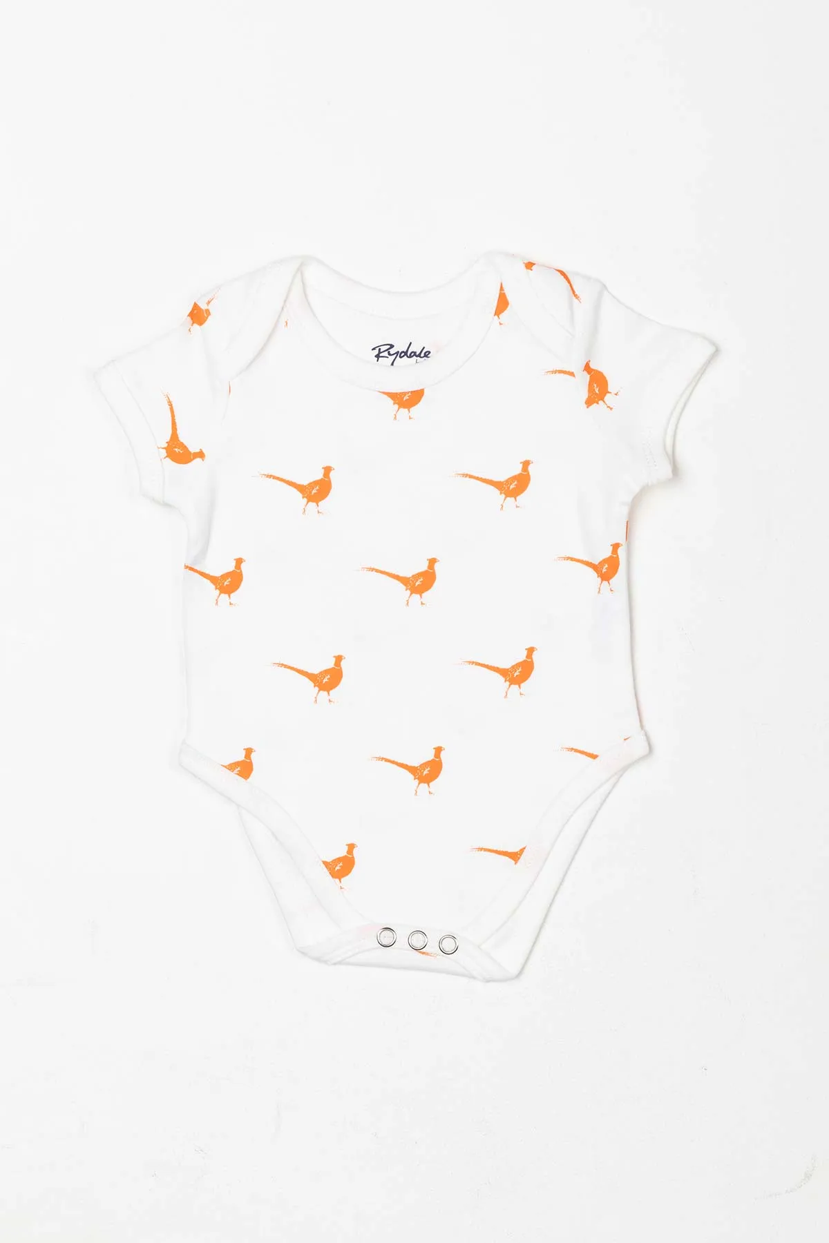 Baby Bodysuits (2 Pack)