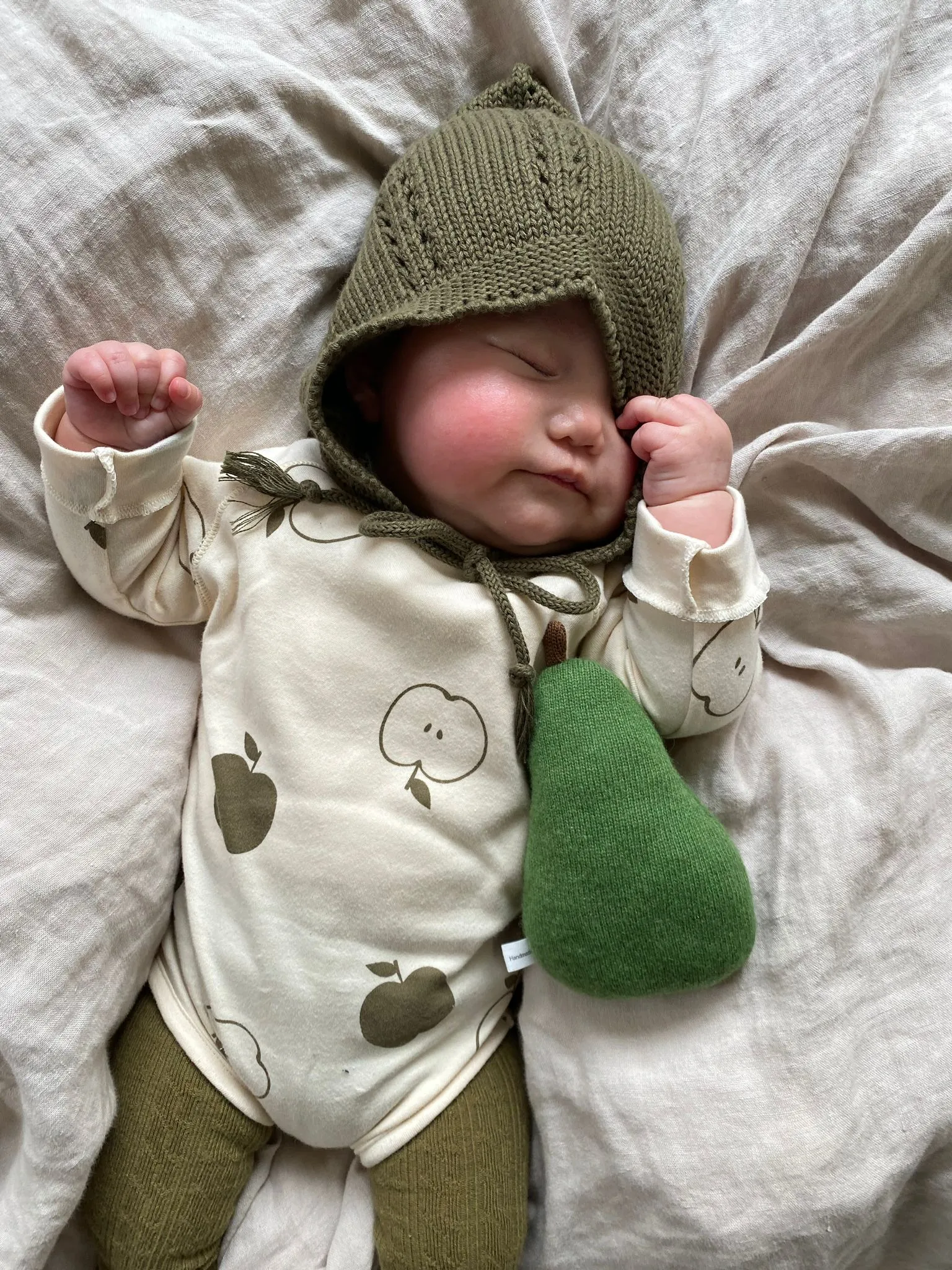 Basil Apple Orchard Bodysuit