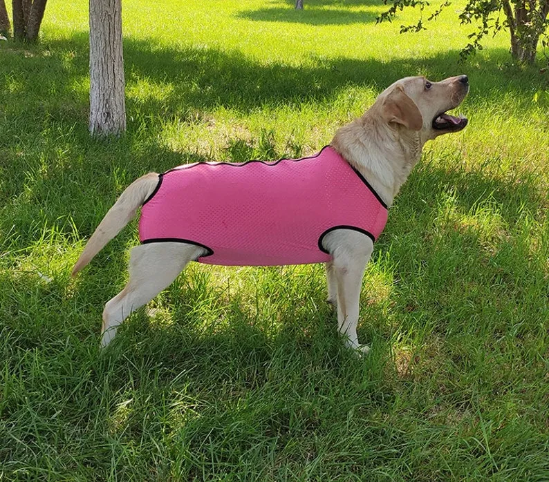 Big Dog Mesh Summer Recovery Post Surgical Skin Protector Bodysuit