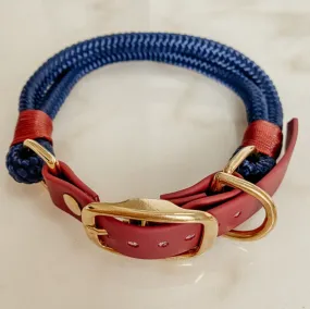 dog collar - the beach - paracord