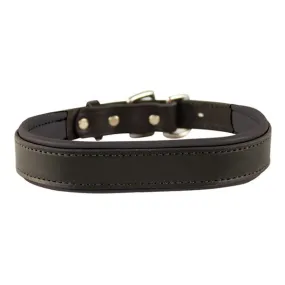 Leather Padded Collar