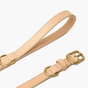 Nude Leather Dog Collar & Lead Set with Gold Hardware