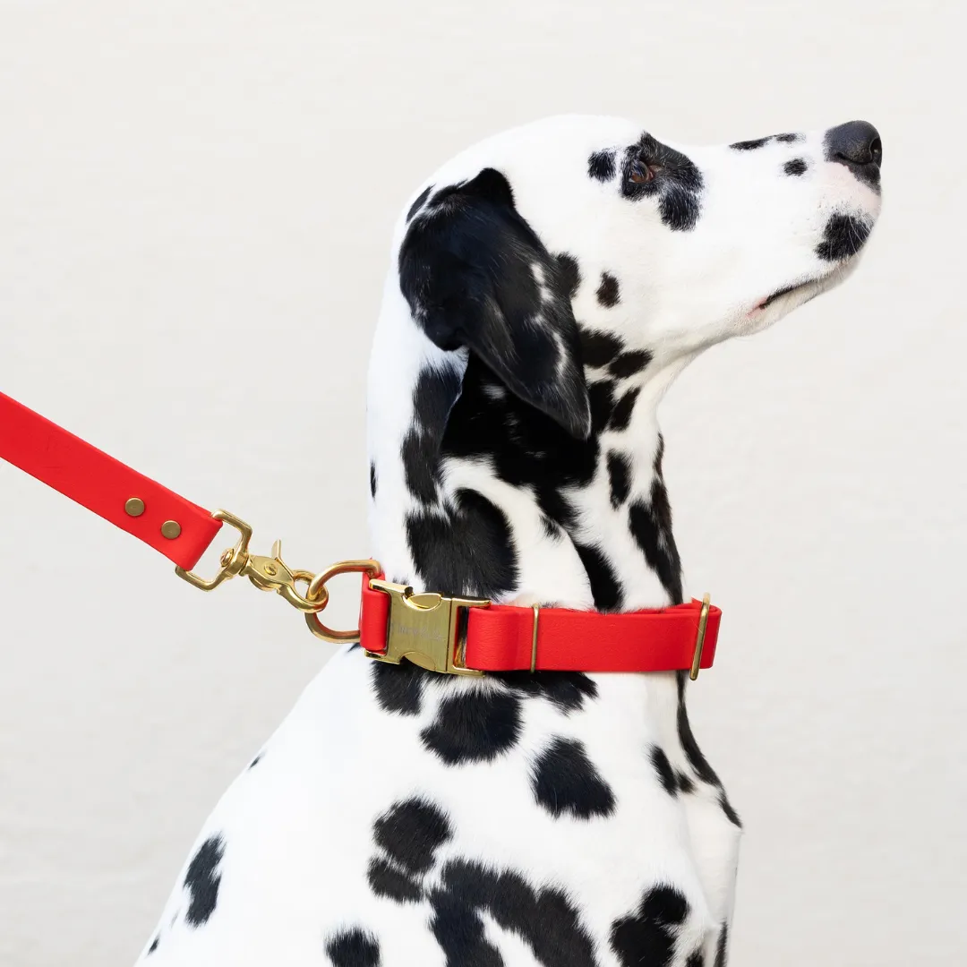 Red Biothane Collar