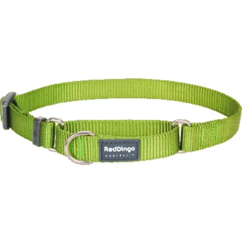 Red Dingo Martingale Half Check Lime Green Dog Collar (4 Sizes)