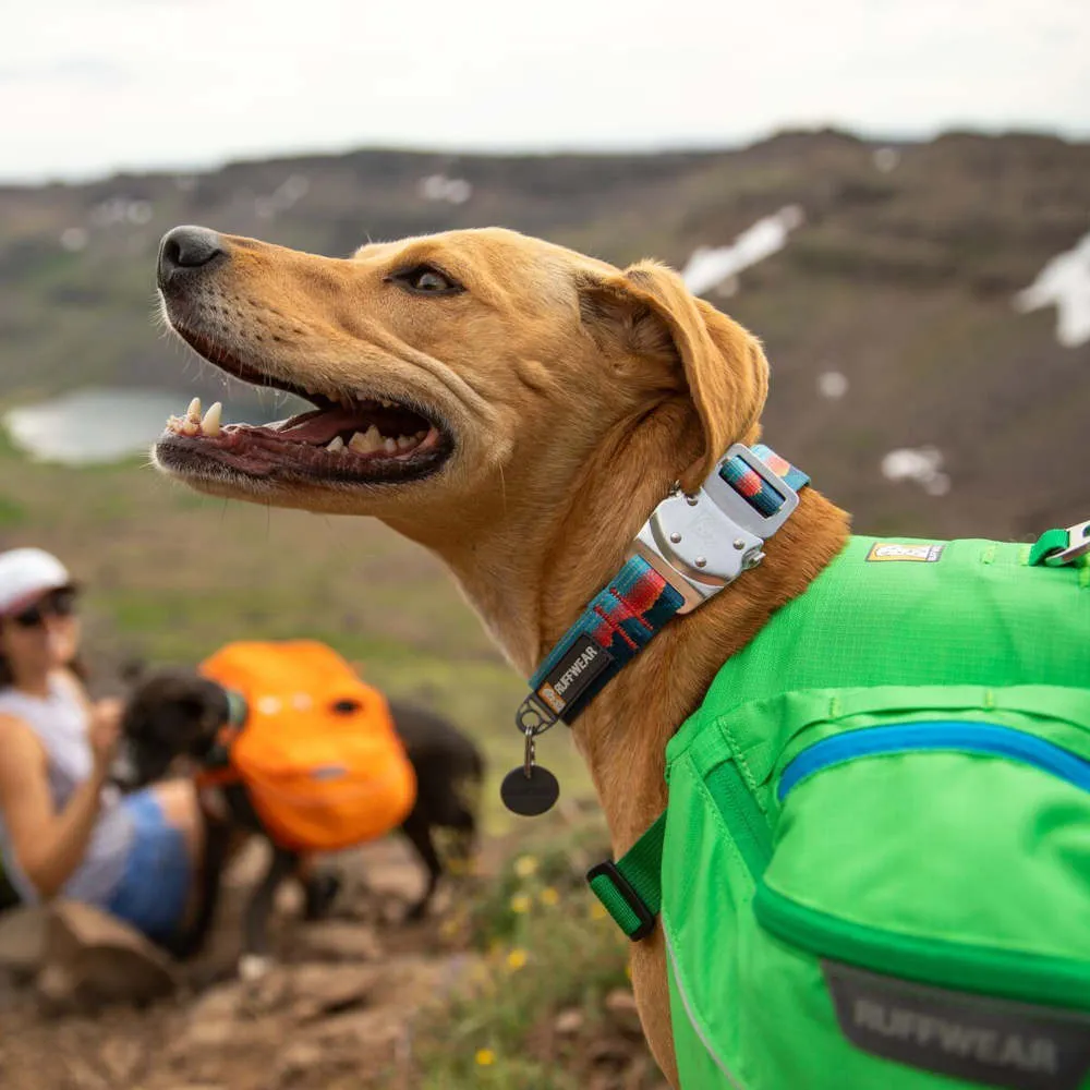 Ruffwear Top Rope Reflective Ballasted Dog Collar (Granite Gray)