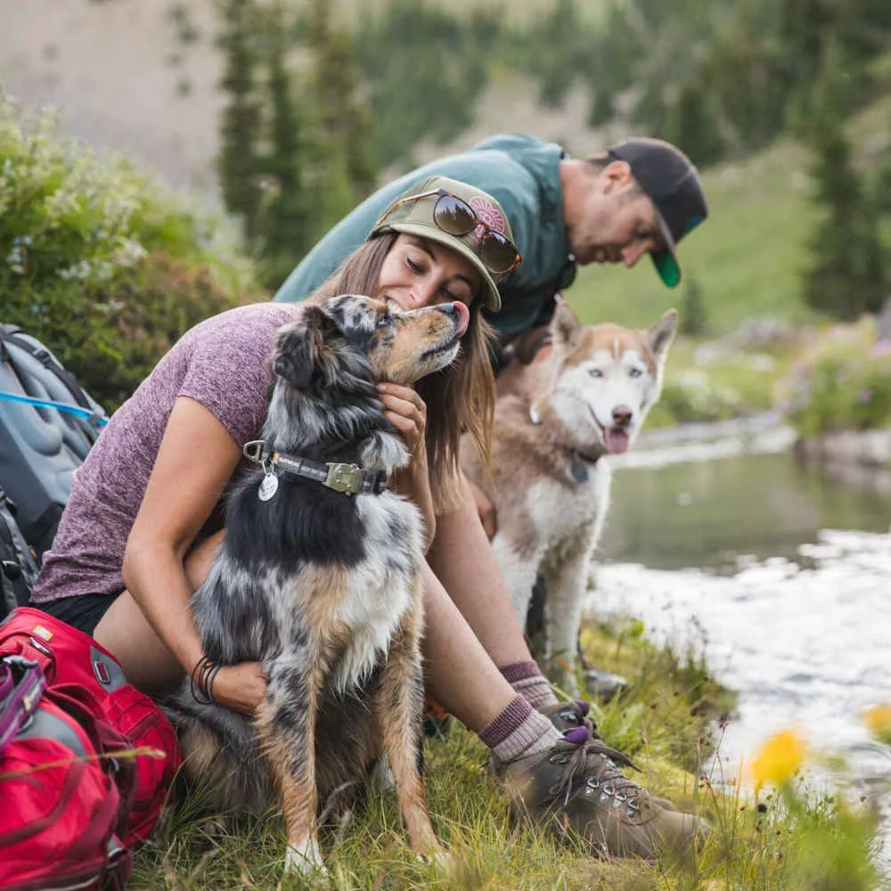 Ruffwear Top Rope Reflective Ballasted Dog Collar (Granite Gray)